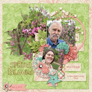 Spring Blooms