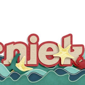 sea siggy