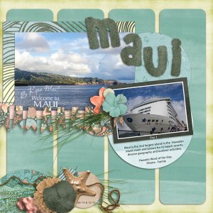 14.1 Welcome to Maui