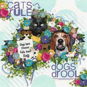 Cats Rule Dogs Drool