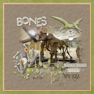 Dinosaur Bones
