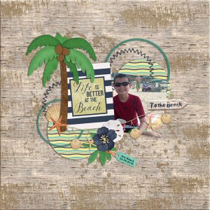 at the beach