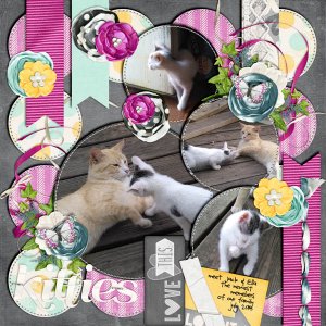 kitties