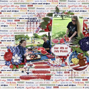 Our 4th of July Picnic