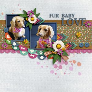 Fur baby Love