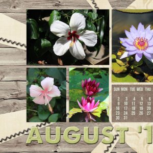 Desktop August 2015