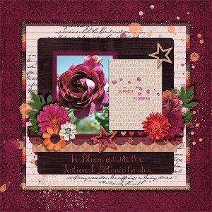 nbg-bloom