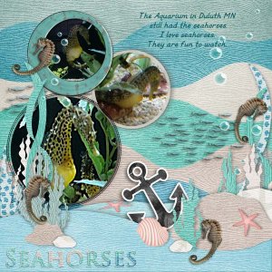 Seahorses