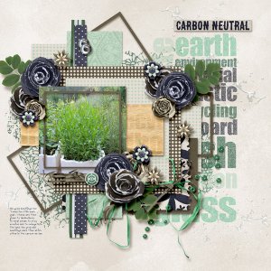 Carbon Neutral