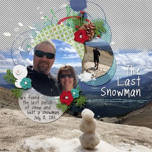 The Last Snowman
