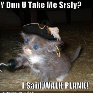 Walk the plank kitty