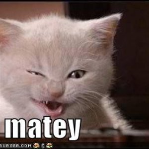 Yar Matey!