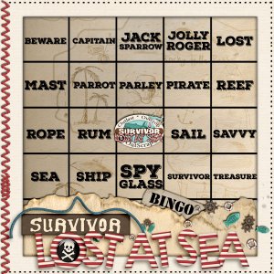 Bingo Week 3 Immunity Challenge