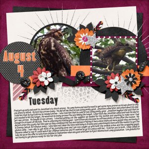 8-August_4_2015_small