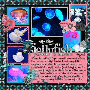 Amazing Jellyfish