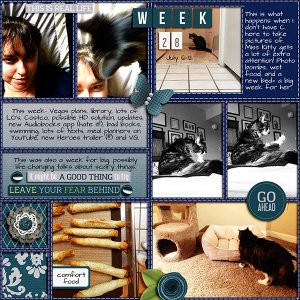PL2015 Week 28