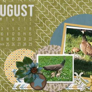 15 Aug cal