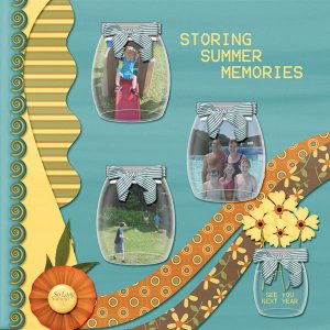 Storing Summer Memories