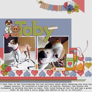 Toby_DT3