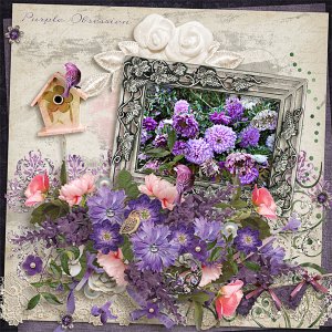 Purple Obsession