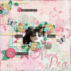 sweet pea