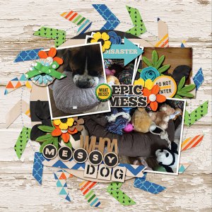Messy Dog
