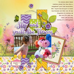 Stop and Smell the Dahlias