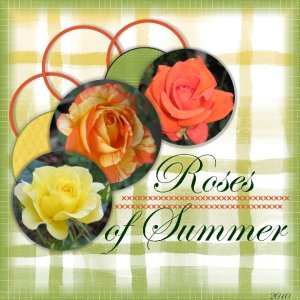 Roses of Summer 2010
