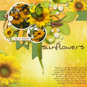 sunflowers