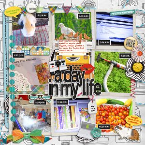 A Day in My Life