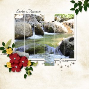 Rocky Mountain Stream
