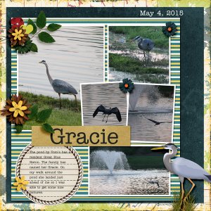 August_2015_2