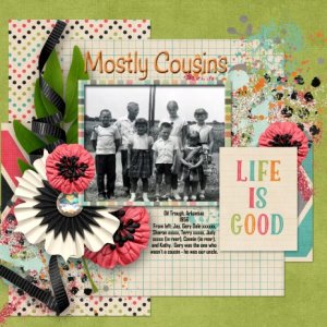 Mostly Cousins