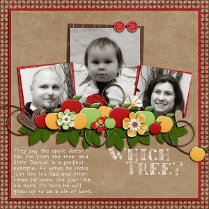 Which Tree?