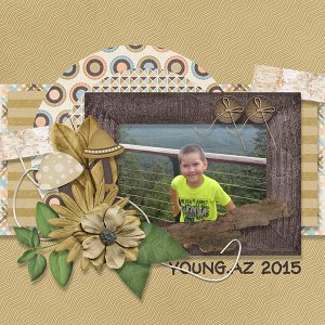 BD-Young2015