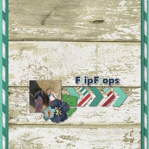 Flip Flops