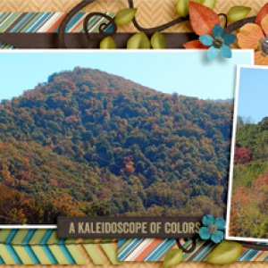 Festival Of Fall Colors