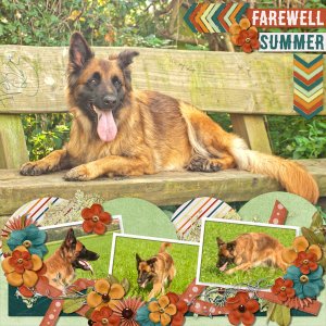 Farewell summer