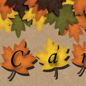 Sept_Siggie3