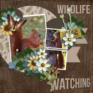Wildlife