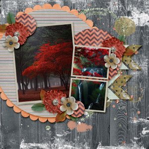 Red Leaves