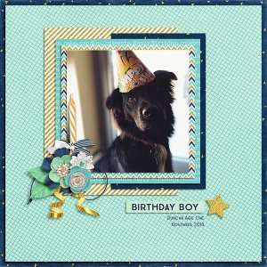 Birthday Boy