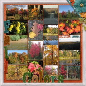 Fall Colors