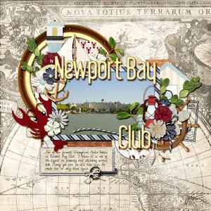 Newport Bay Club