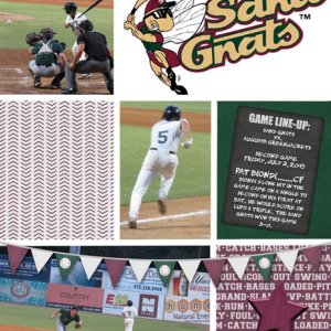 Sand Gnats
