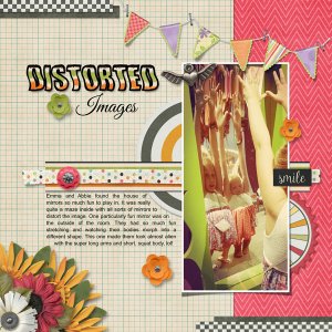Distorted Images