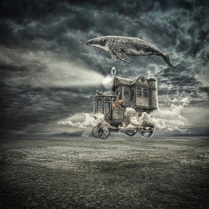 Altered Reality