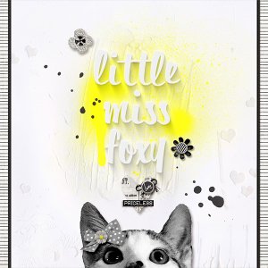 little miss foxy