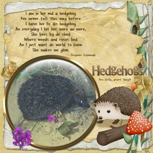 Hedgehogs are little, aren't they?!