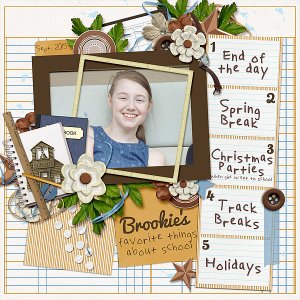 Brookie's Top 5 School